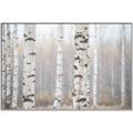 Picture of Birch forest in fog I _GroupedProduct_Rectangle_Landscape_Photography _GroupedProduct_Rectangle_Landscape_Canvas_Framed_