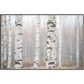 Picture of Birch forest in fog I _GroupedProduct_Rectangle_Landscape_Photography _GroupedProduct_Rectangle_Landscape_Canvas_Framed_