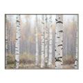 Picture of Birch forest in fog II _GroupedProduct_Rectangle_Landscape_Photography _GroupedProduct_Rectangle_Landscape_Canvas_Framed_
