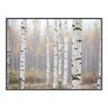Picture of Birch forest in fog II _GroupedProduct_Rectangle_Landscape_Photography _GroupedProduct_Rectangle_Landscape_Canvas_Framed_