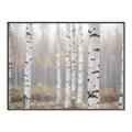 Picture of Birch forest in fog II _GroupedProduct_Rectangle_Landscape_Photography _GroupedProduct_Rectangle_Landscape_Canvas_Framed_