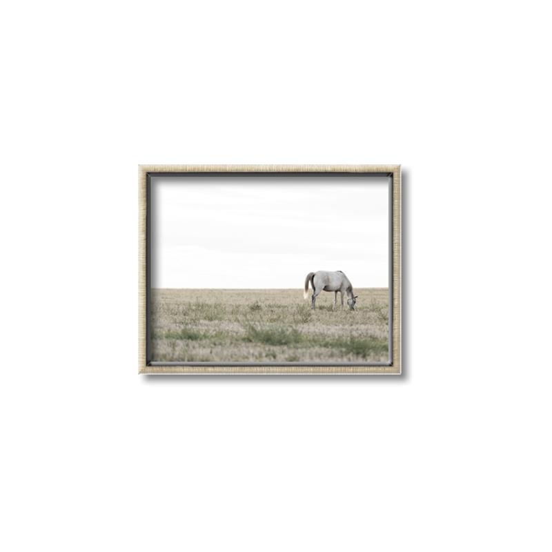 Picture of Midmorning Break  _GroupedProduct_Rectangle_Landscape_Photography _GroupedProduct_Rectangle_Landscape_Canvas_Framed_