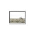 Picture of Midmorning Break  _GroupedProduct_Rectangle_Landscape_Photography _GroupedProduct_Rectangle_Landscape_Canvas_Framed_