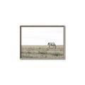 Picture of Midmorning Break  _GroupedProduct_Rectangle_Landscape_Photography _GroupedProduct_Rectangle_Landscape_Canvas_Framed_