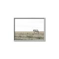 Picture of Midmorning Break  _GroupedProduct_Rectangle_Landscape_Photography _GroupedProduct_Rectangle_Landscape_Canvas_Framed_