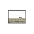 Picture of Midmorning Break  _GroupedProduct_Rectangle_Landscape_Photography _GroupedProduct_Rectangle_Landscape_Canvas_Framed_