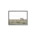 Picture of Midmorning Break  _GroupedProduct_Rectangle_Landscape_Photography _GroupedProduct_Rectangle_Landscape_Canvas_Framed_