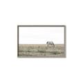 Picture of Midmorning Break  _GroupedProduct_Rectangle_Landscape_Photography _GroupedProduct_Rectangle_Landscape_Canvas_Framed_