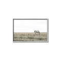 Picture of Midmorning Break  _GroupedProduct_Rectangle_Landscape_Photography _GroupedProduct_Rectangle_Landscape_Canvas_Framed_