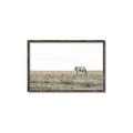 Picture of Midmorning Break  _GroupedProduct_Rectangle_Landscape_Photography _GroupedProduct_Rectangle_Landscape_Canvas_Framed_