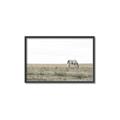 Picture of Midmorning Break  _GroupedProduct_Rectangle_Landscape_Photography _GroupedProduct_Rectangle_Landscape_Canvas_Framed_