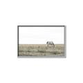 Picture of Midmorning Break  _GroupedProduct_Rectangle_Landscape_Photography _GroupedProduct_Rectangle_Landscape_Canvas_Framed_