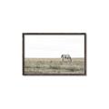 Picture of Midmorning Break  _GroupedProduct_Rectangle_Landscape_Photography _GroupedProduct_Rectangle_Landscape_Canvas_Framed_