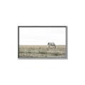 Picture of Midmorning Break  _GroupedProduct_Rectangle_Landscape_Photography _GroupedProduct_Rectangle_Landscape_Canvas_Framed_