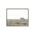 Picture of Midmorning Break  _GroupedProduct_Rectangle_Landscape_Photography _GroupedProduct_Rectangle_Landscape_Canvas_Framed_