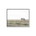 Picture of Midmorning Break  _GroupedProduct_Rectangle_Landscape_Photography _GroupedProduct_Rectangle_Landscape_Canvas_Framed_