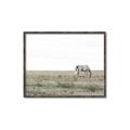Picture of Midmorning Break  _GroupedProduct_Rectangle_Landscape_Photography _GroupedProduct_Rectangle_Landscape_Canvas_Framed_
