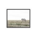 Picture of Midmorning Break  _GroupedProduct_Rectangle_Landscape_Photography _GroupedProduct_Rectangle_Landscape_Canvas_Framed_
