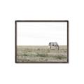 Picture of Midmorning Break  _GroupedProduct_Rectangle_Landscape_Photography _GroupedProduct_Rectangle_Landscape_Canvas_Framed_