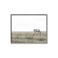 Picture of Midmorning Break  _GroupedProduct_Rectangle_Landscape_Photography _GroupedProduct_Rectangle_Landscape_Canvas_Framed_