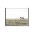 Picture of Midmorning Break  _GroupedProduct_Rectangle_Landscape_Photography _GroupedProduct_Rectangle_Landscape_Canvas_Framed_