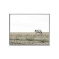 Picture of Midmorning Break  _GroupedProduct_Rectangle_Landscape_Photography _GroupedProduct_Rectangle_Landscape_Canvas_Framed_