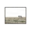 Picture of Midmorning Break  _GroupedProduct_Rectangle_Landscape_Photography _GroupedProduct_Rectangle_Landscape_Canvas_Framed_