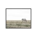 Picture of Midmorning Break  _GroupedProduct_Rectangle_Landscape_Photography _GroupedProduct_Rectangle_Landscape_Canvas_Framed_
