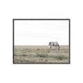 Picture of Midmorning Break  _GroupedProduct_Rectangle_Landscape_Photography _GroupedProduct_Rectangle_Landscape_Canvas_Framed_