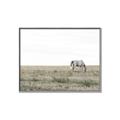 Picture of Midmorning Break  _GroupedProduct_Rectangle_Landscape_Photography _GroupedProduct_Rectangle_Landscape_Canvas_Framed_