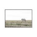 Picture of Midmorning Break  _GroupedProduct_Rectangle_Landscape_Photography _GroupedProduct_Rectangle_Landscape_Canvas_Framed_
