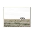 Picture of Midmorning Break  _GroupedProduct_Rectangle_Landscape_Photography _GroupedProduct_Rectangle_Landscape_Canvas_Framed_