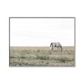 Picture of Midmorning Break  _GroupedProduct_Rectangle_Landscape_Photography _GroupedProduct_Rectangle_Landscape_Canvas_Framed_