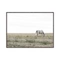 Picture of Midmorning Break  _GroupedProduct_Rectangle_Landscape_Photography _GroupedProduct_Rectangle_Landscape_Canvas_Framed_