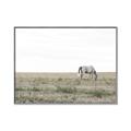 Picture of Midmorning Break  _GroupedProduct_Rectangle_Landscape_Photography _GroupedProduct_Rectangle_Landscape_Canvas_Framed_