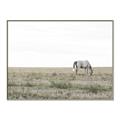 Picture of Midmorning Break  _GroupedProduct_Rectangle_Landscape_Photography _GroupedProduct_Rectangle_Landscape_Canvas_Framed_