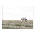Picture of Midmorning Break  _GroupedProduct_Rectangle_Landscape_Photography _GroupedProduct_Rectangle_Landscape_Canvas_Framed_