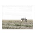 Picture of Midmorning Break  _GroupedProduct_Rectangle_Landscape_Photography _GroupedProduct_Rectangle_Landscape_Canvas_Framed_