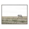 Picture of Midmorning Break  _GroupedProduct_Rectangle_Landscape_Photography _GroupedProduct_Rectangle_Landscape_Canvas_Framed_