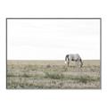 Picture of Midmorning Break  _GroupedProduct_Rectangle_Landscape_Photography _GroupedProduct_Rectangle_Landscape_Canvas_Framed_