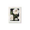 Picture of White Buttercups  _GroupedProduct_Rectangle_Portrait_Framed_Matted_