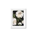 Picture of White Buttercups  _GroupedProduct_Rectangle_Portrait_Framed_Matted_