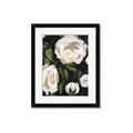 Picture of White Buttercups  _GroupedProduct_Rectangle_Portrait_Framed_Matted_