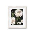 Picture of White Buttercups  _GroupedProduct_Rectangle_Portrait_Framed_Matted_