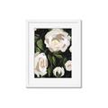 Picture of White Buttercups  _GroupedProduct_Rectangle_Portrait_Framed_Matted_