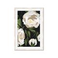Picture of White Buttercups  _GroupedProduct_Rectangle_Portrait_Framed_Matted_