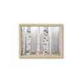 Picture of Birch forest in fog I _GroupedProduct_Rectangle_Landscape_Photography _GroupedProduct_Rectangle_Landscape_Framed_Matted_