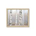 Picture of Birch forest in fog I _GroupedProduct_Rectangle_Landscape_Photography _GroupedProduct_Rectangle_Landscape_Framed_Matted_