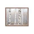 Picture of Birch forest in fog I _GroupedProduct_Rectangle_Landscape_Photography _GroupedProduct_Rectangle_Landscape_Framed_Matted_