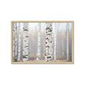 Picture of Birch forest in fog I _GroupedProduct_Rectangle_Landscape_Photography _GroupedProduct_Rectangle_Landscape_Framed_Matted_